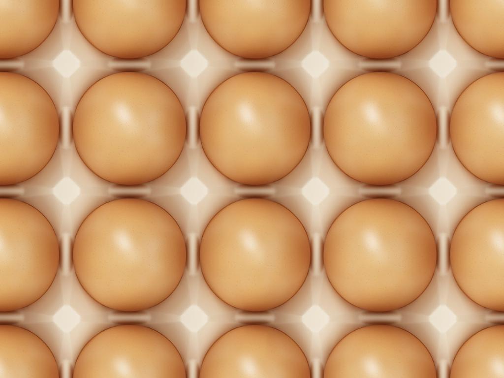 Выбор яиц для инкубации