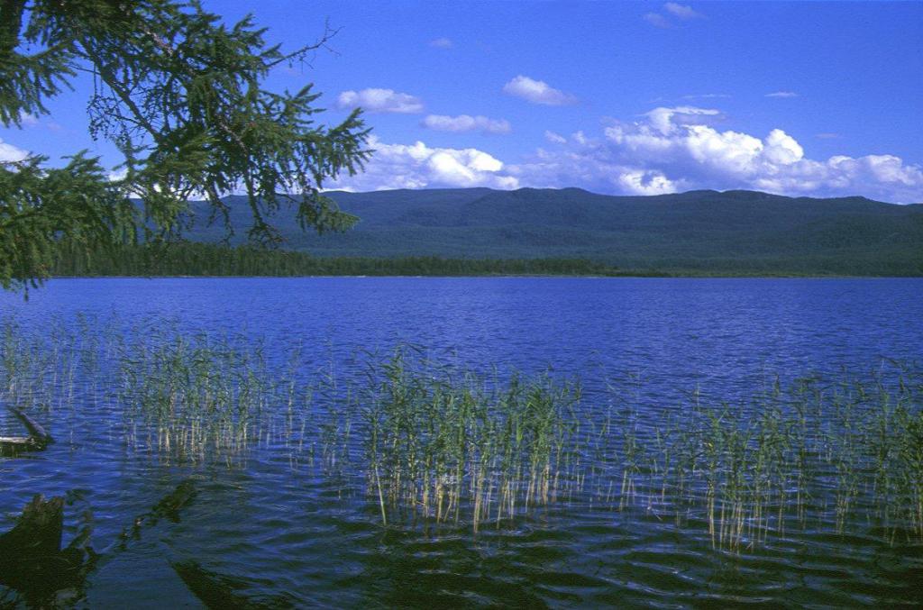 озеро заповедника Азас