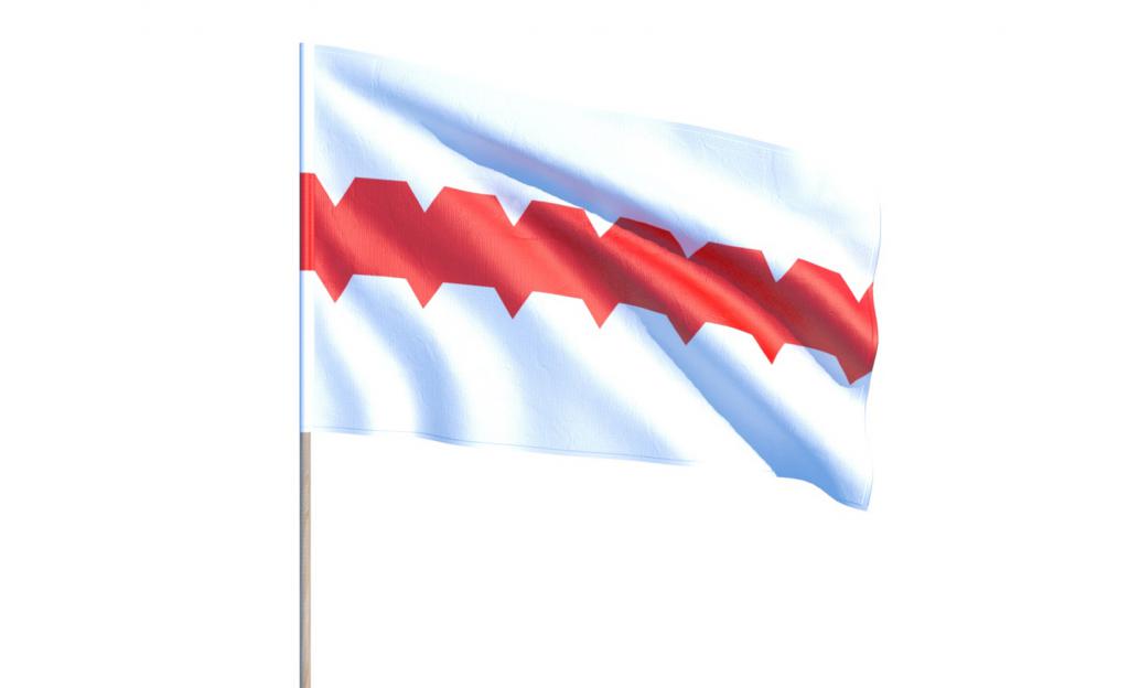 Флаг Омска