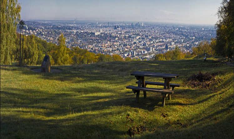 Вид со смотровой площадки Венского леса