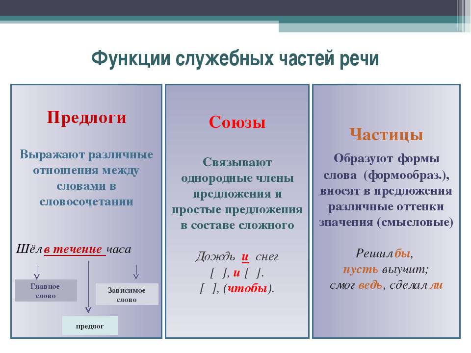 Определите функции частиц