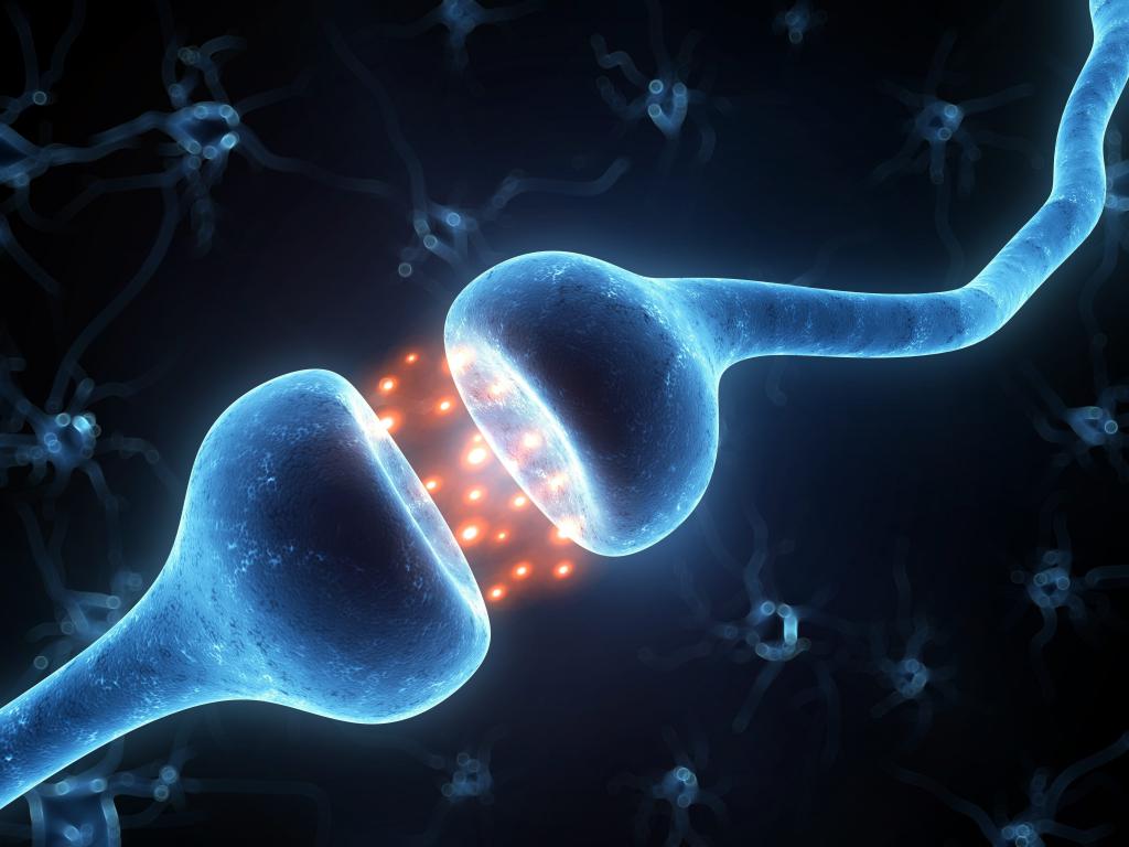 Модельное изображение синапса