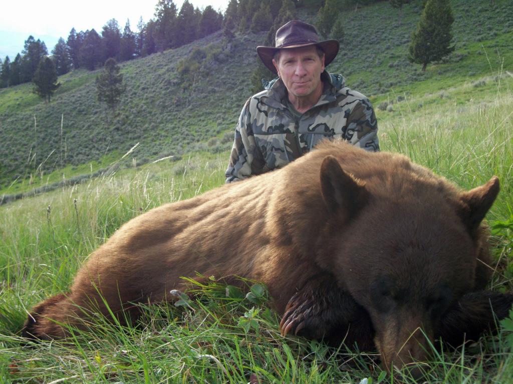 Охотник подстрелил огромного медведя