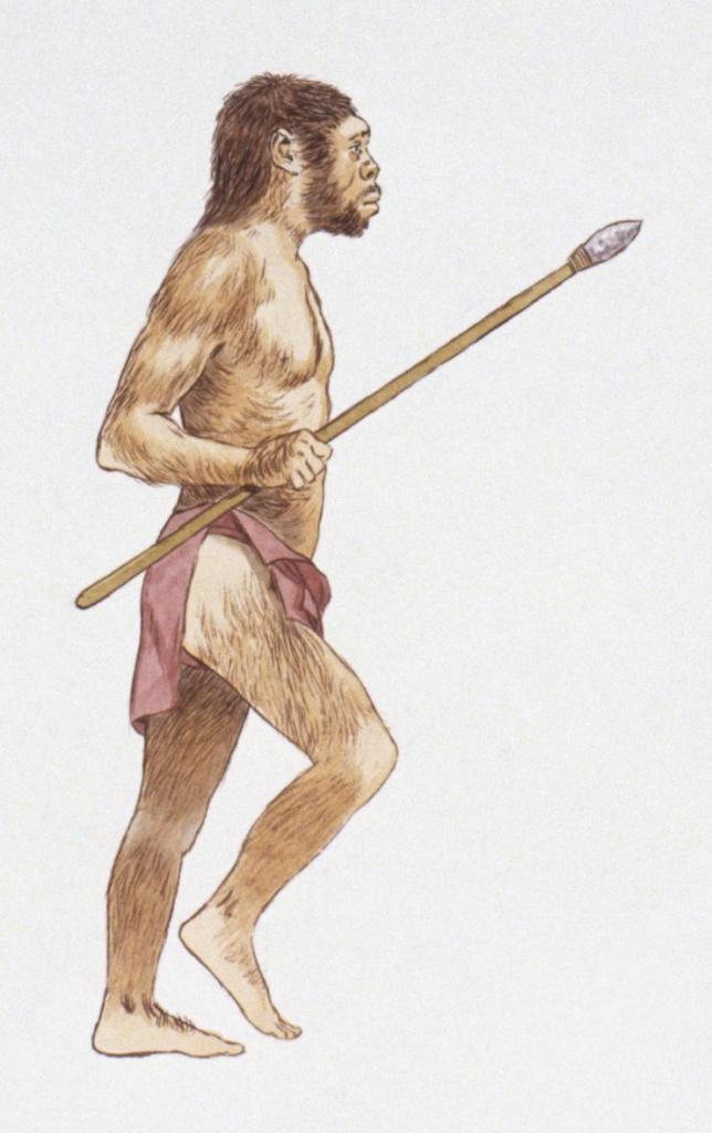 Homo erectus с копьем