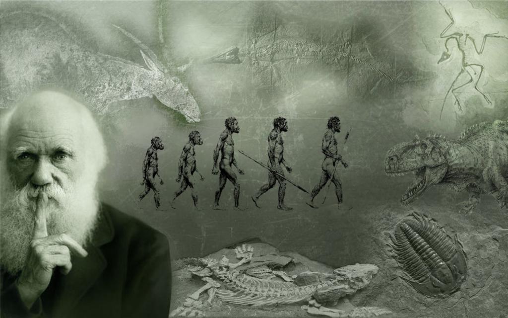 эволюционная теория Дарвина