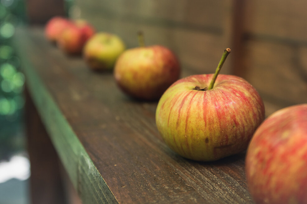Детские загадки про яблоки