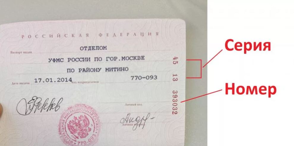 Серия и номер паспорта пример Россия