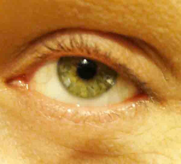 зеленые глаза характеристика