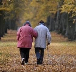 расчет размера пенсии по старости