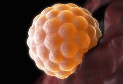 имплантация эмбриона в матку