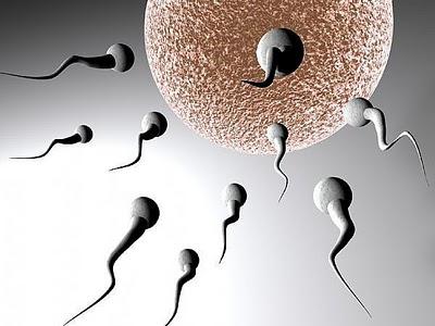 польза спермы
