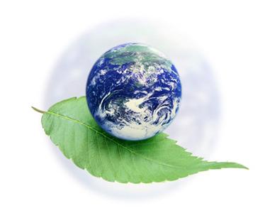 Международные экологические организации