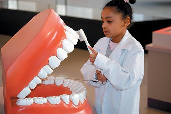 какие зубы меняются у детей