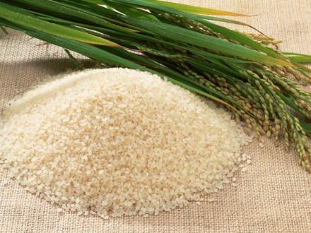 как правильно варить рис