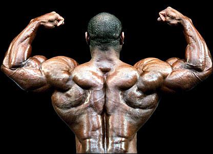 как укрепить мышцы спины