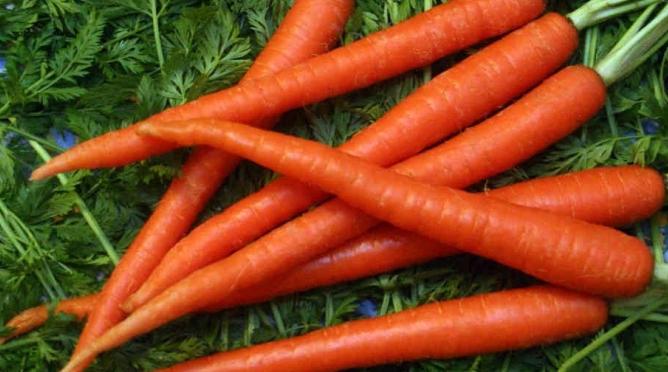 морковка полезные свойства