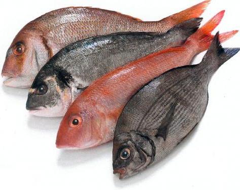 калорийность красной рыбы