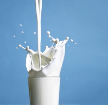 молоко польза молока