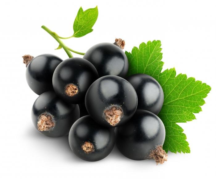 компот из чёрной смородины