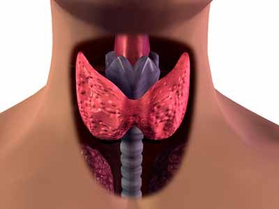 гипоплазия щитовидной железы 