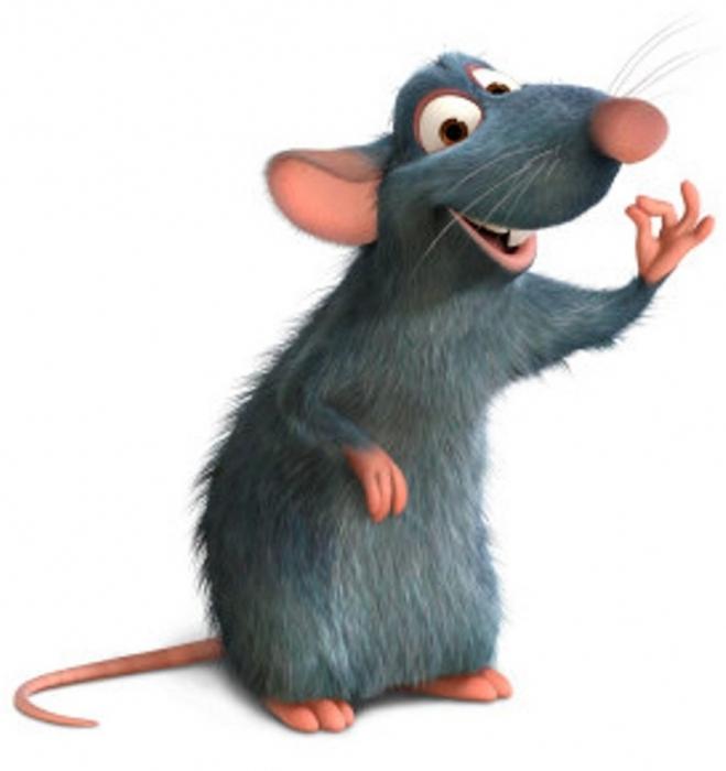 к чему снятся мыши и крысы