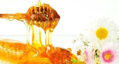 мед полезные свойства