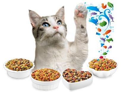 сухой корм для кошек