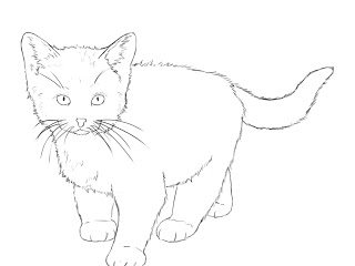 как рисовать котенка