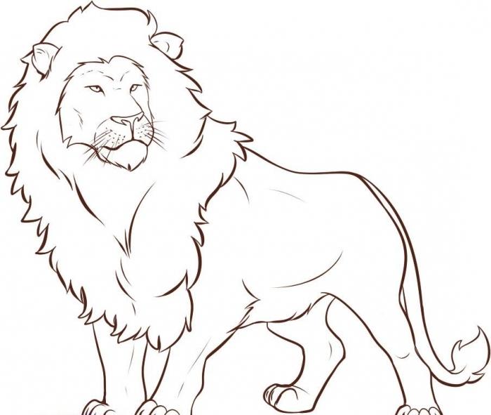 как нарисовать льва,