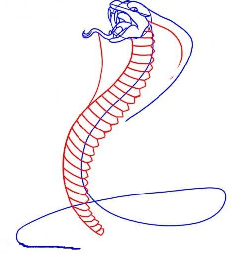 как нарисовать змею карандашом