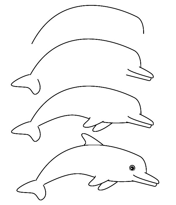 как нарисовать дельфина поэтапно