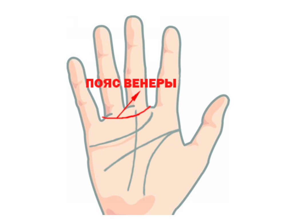 Презентация пояс венеры