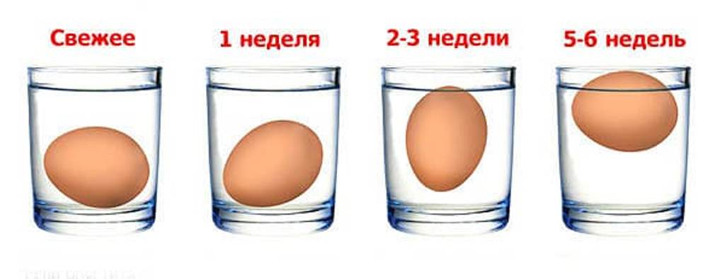 Определение свежести яиц в воде картинки