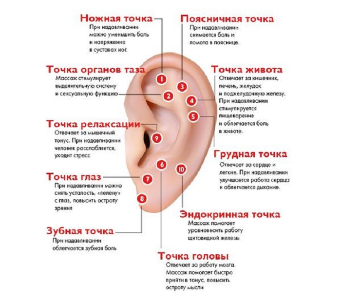 Чем лучше прокалывать уши подростку. Смотреть фото Чем лучше прокалывать уши подростку. Смотреть картинку Чем лучше прокалывать уши подростку. Картинка про Чем лучше прокалывать уши подростку. Фото Чем лучше прокалывать уши подростку