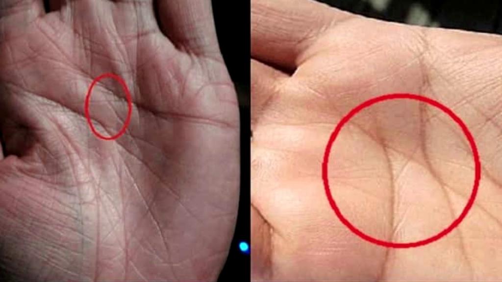 1132121 Буква м внизу ладони что означает