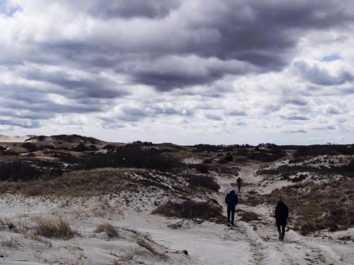 Sandy Neck Beach