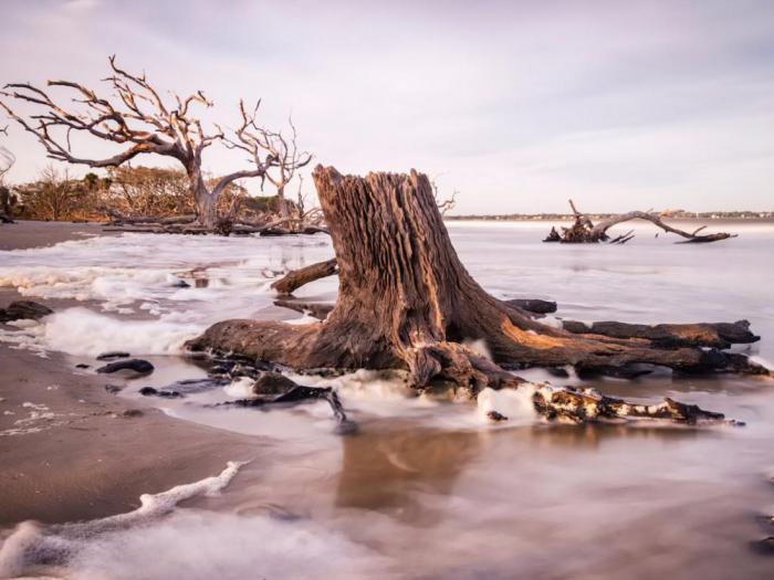 Driftwood Beach,