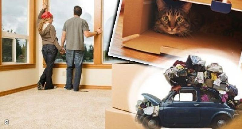 Страшно переезжать. Кот в новой квартире. Кот новоселье. Переезд. Кот переезжает новую квартиру.
