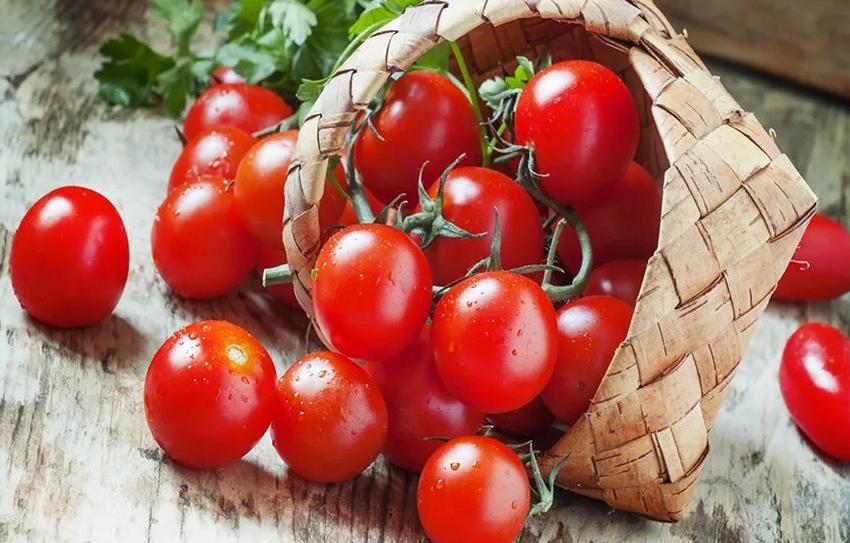 хумус с курицей что это. 1570009. хумус с курицей что это фото. хумус с курицей что это-1570009. картинка хумус с курицей что это. картинка 1570009. Для своих близких я готовлю только вкусные и полезные блюда. Мои дети и супруг очень полюбили курицу в хумусе с овощами. Делается это блюдо очень просто и быстро, с процессом приготовления справится даже начинающая хозяйка. Все ингредиенты я беру на глаз.