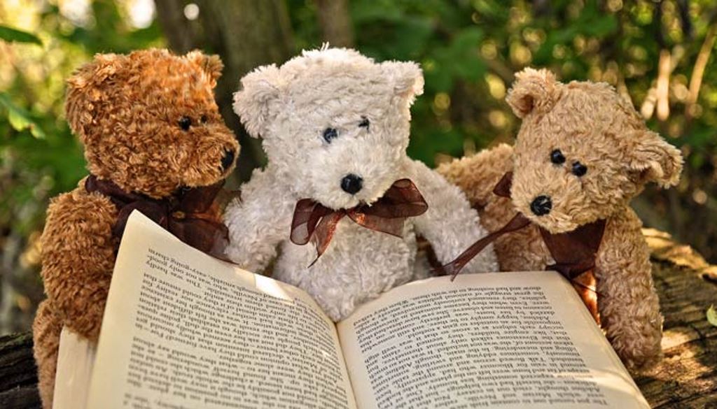 Мишка с книжкой картинки
