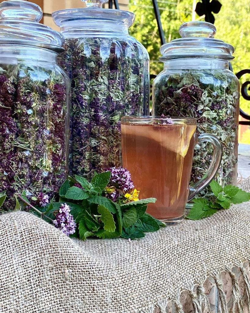 Какие травы можно пить вместо чая. Травы для чая. Травяной чай. Пряные растения для чая. Целебные травы для чая.