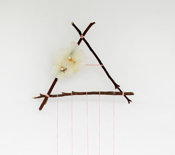 красивые ветви. сон веточки. ветка цветущая. ветка крупным планом. красивые ветки деревьев.