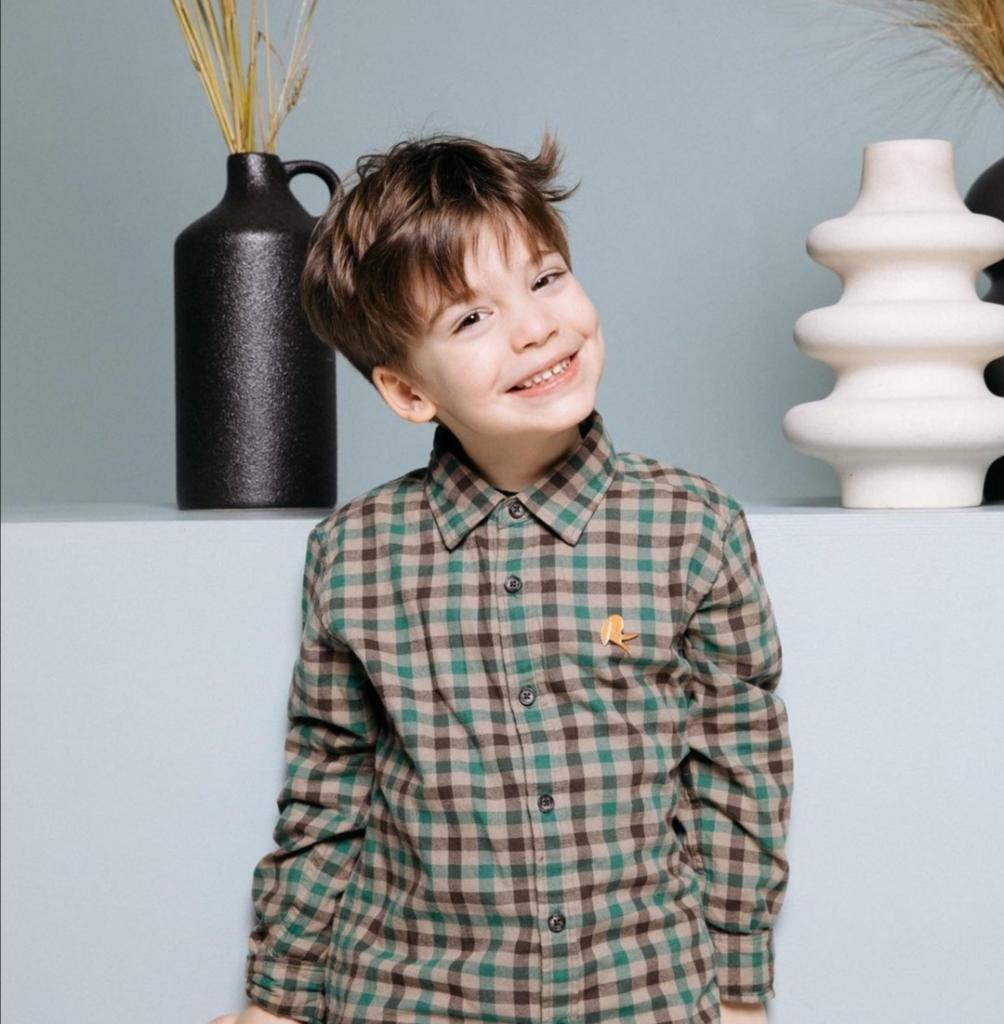 сказка чудесные сыновья. мама чудесного сына. чудесный клад молдавская сказка. друзья мальчики. фотосессия двух братьев.