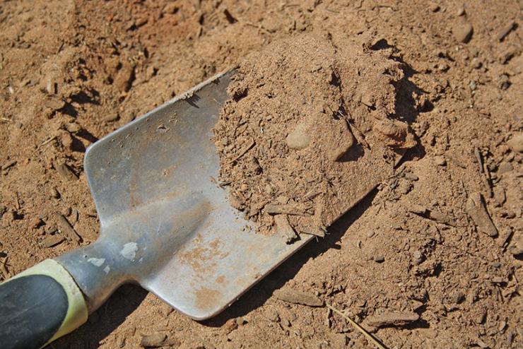 Как делать плодородную землю из песка: пошаговая инструкция