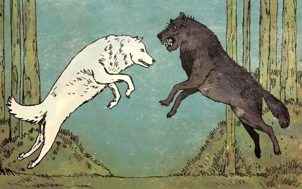 Борьба двух. Притча о двух волках. Борьба двух Волков. Иллюстрация к притче о двух волках. Притча два волка рисунок.