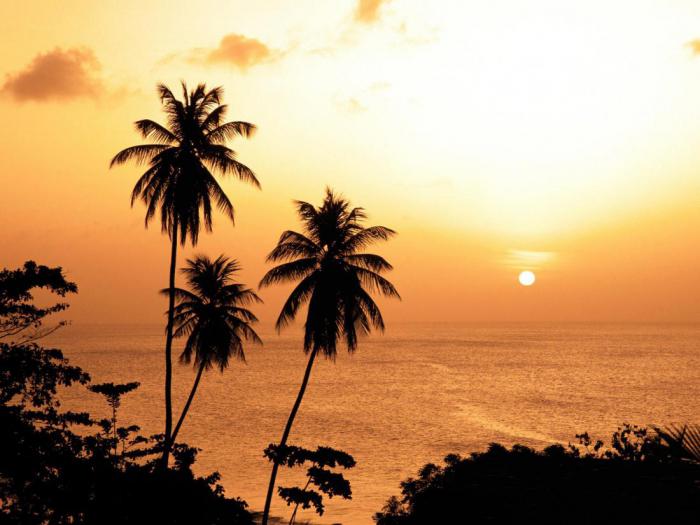 лучшие пляжные локации на тропических побережьях