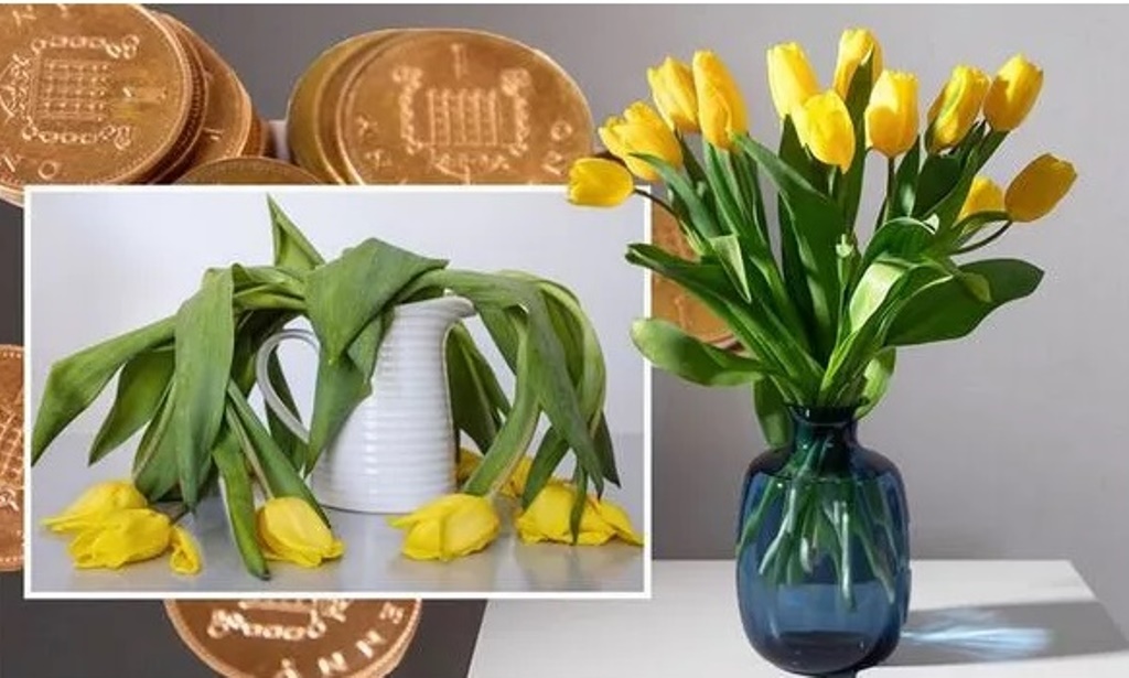 Что нужно сделать чтобы тюльпаны простояли дольше. Букет первых весенних тюльпанов. Сохранить тюльпаны в вазе.