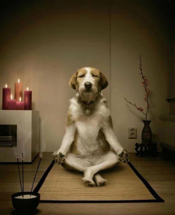 медитировать.