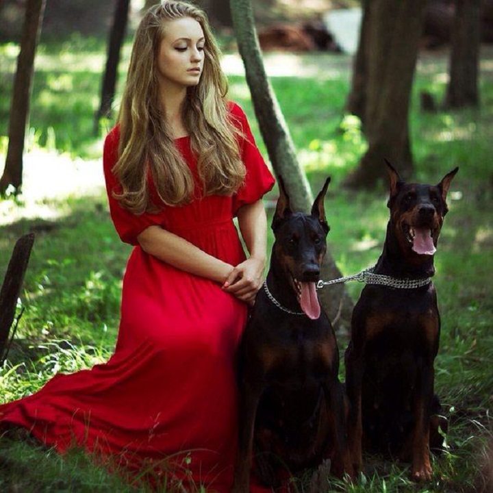 какое животное завести одинокой женщине. Смотреть фото какое животное завести одинокой женщине. Смотреть картинку какое животное завести одинокой женщине. Картинка про какое животное завести одинокой женщине. Фото какое животное завести одинокой женщине