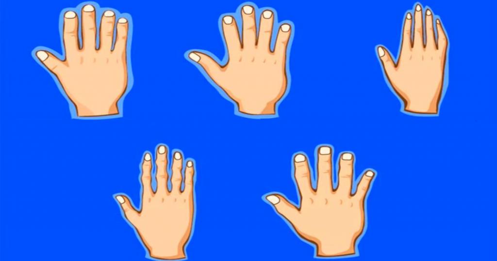 Изменение формы руки. Типы рук. Виды кистей рук. Типы ладоней. Типы человеческих рук.